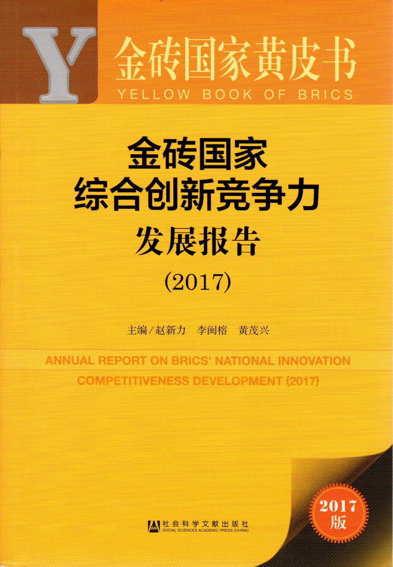 又爽又黄的日屄视频金砖国家综合创新竞争力发展报告（2017）